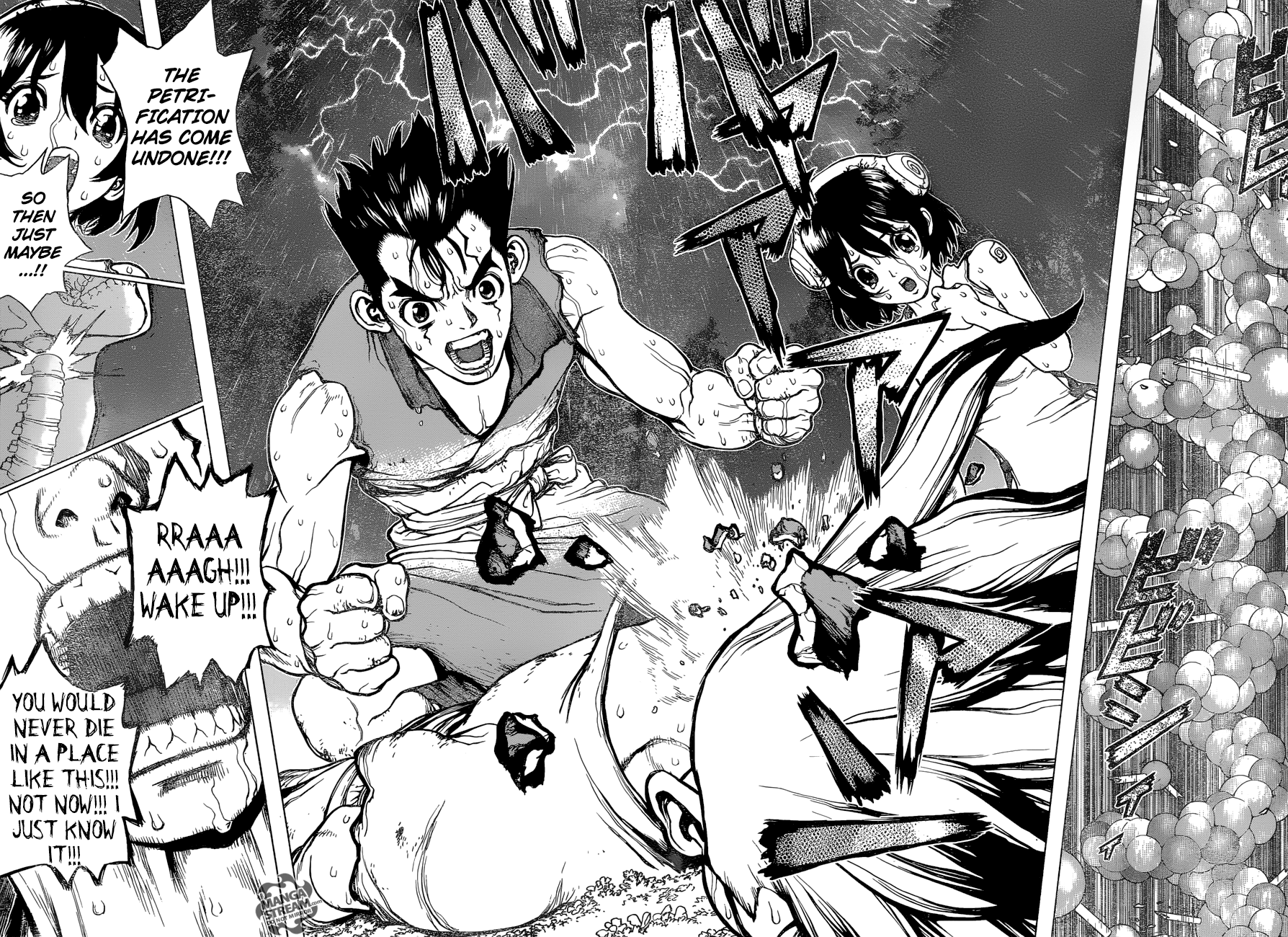 Dr. Stone Chapter 12 15